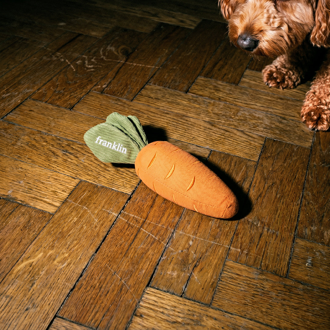 JOUET CAROTTE CHIEN
