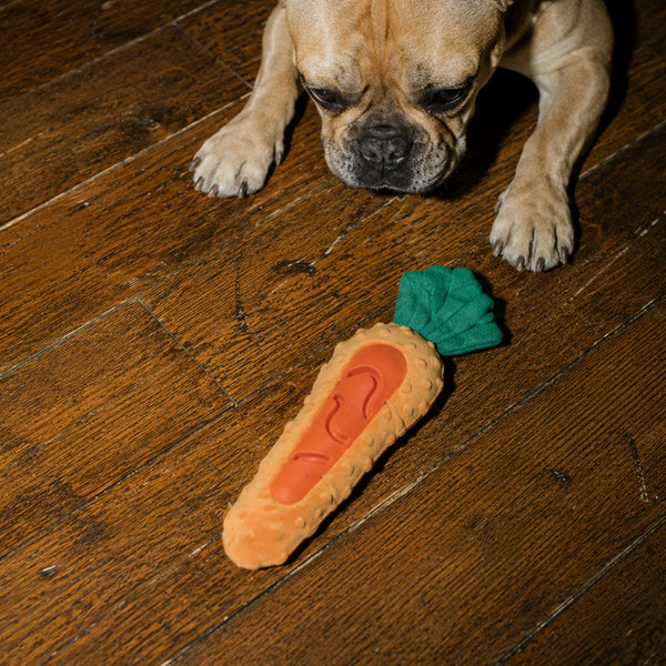 jouet-carotte-pour-friandises-chien