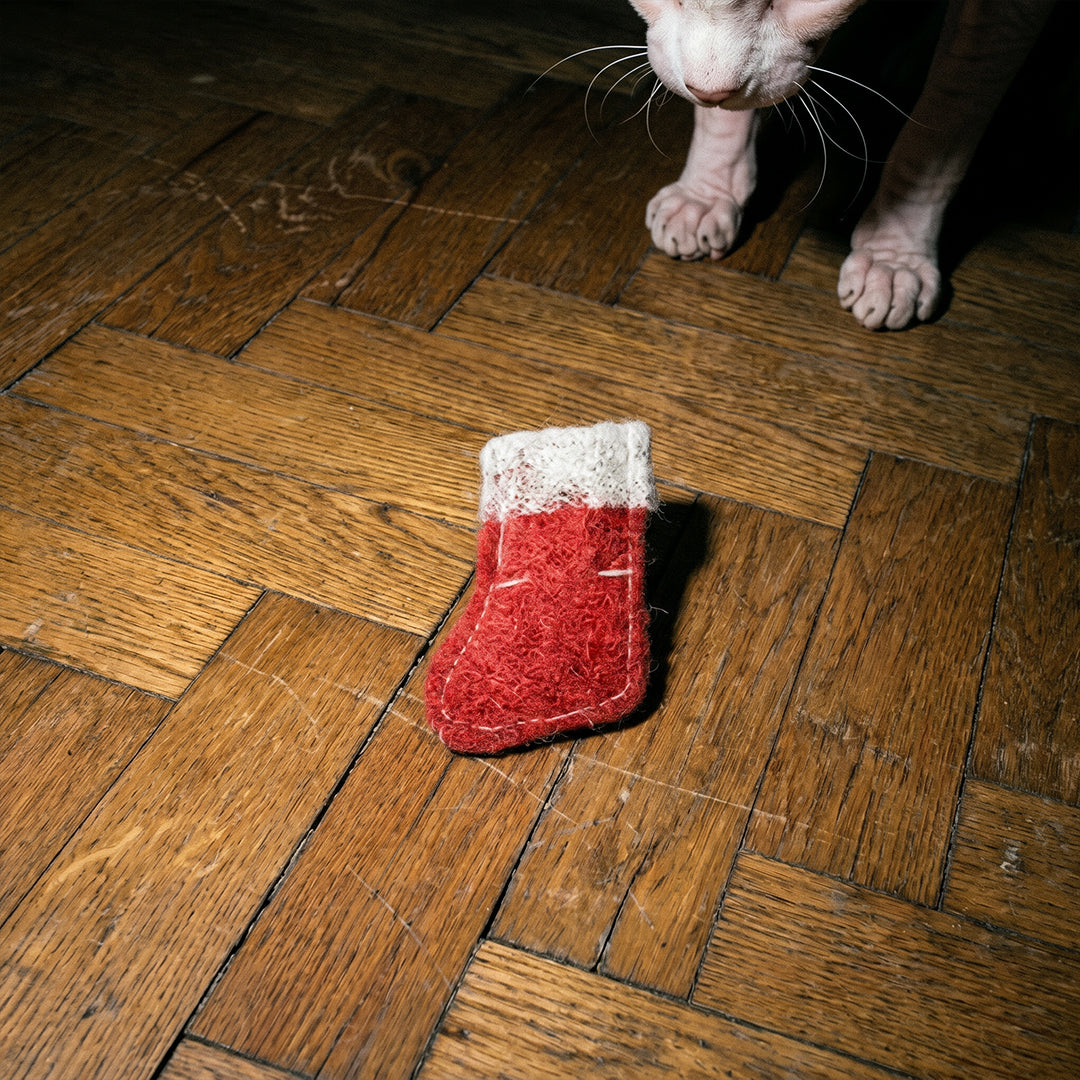 JOUET NOËL HERBE À CHAT