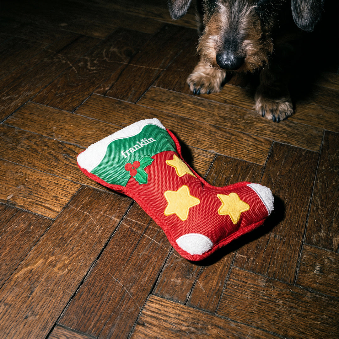 DOUDOU CHAUSSETTE NOËL CHIEN