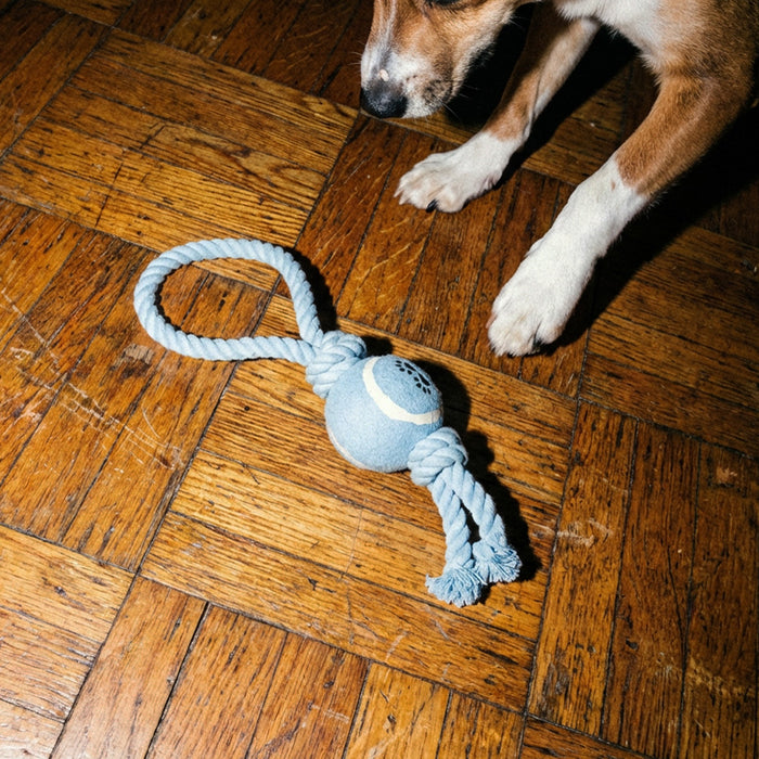 JOUET CORDE CHIEN (CADEAU)