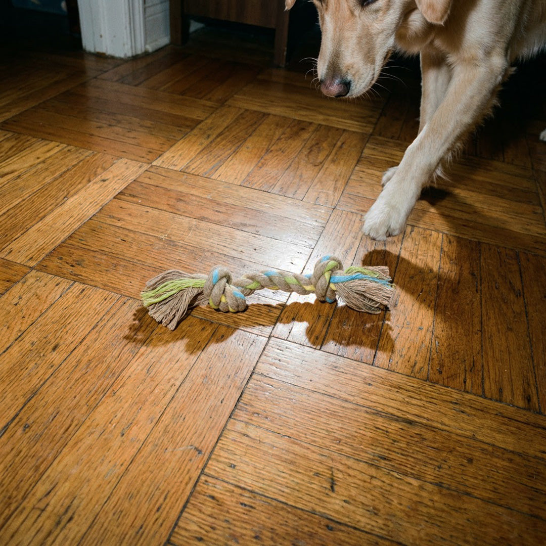 JOUET CORDE CHIEN