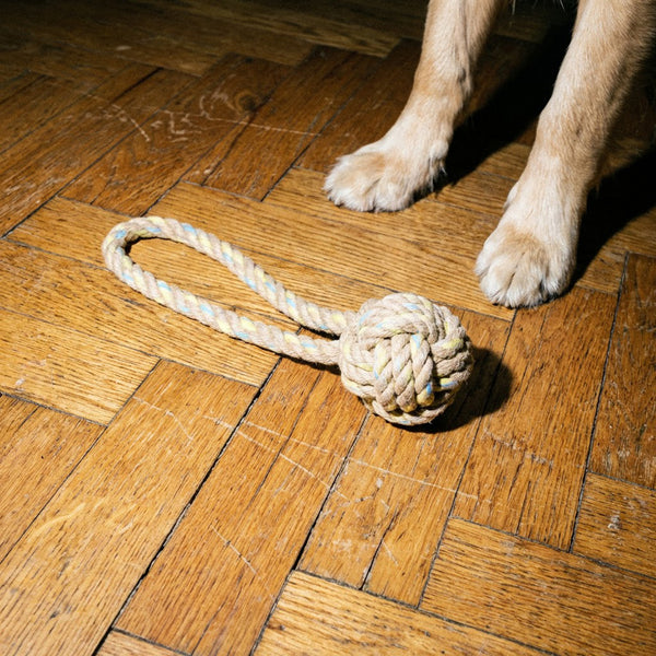 jouet-corde-chien