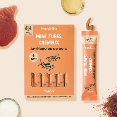 mini-tubes-cremeux-thon