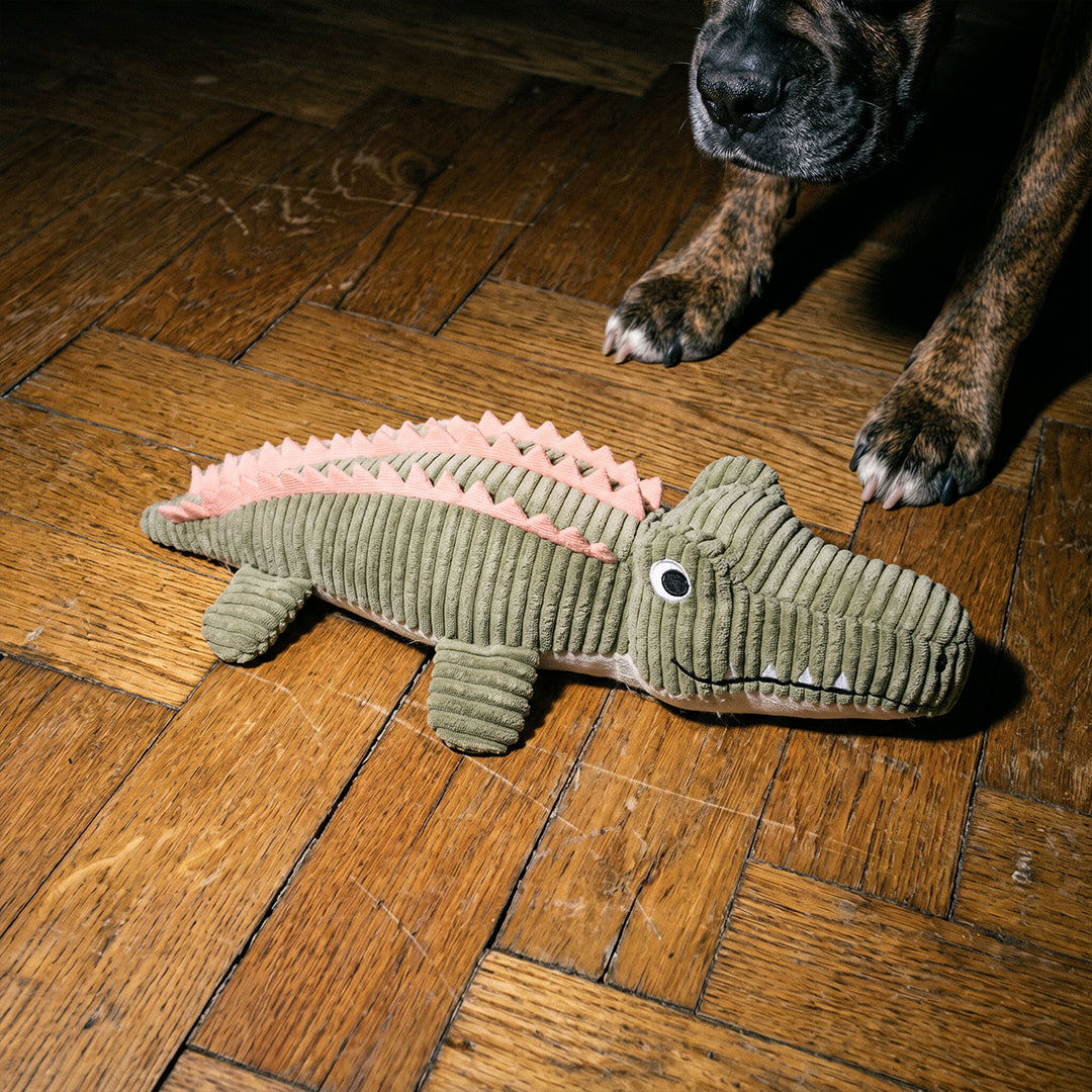 DOUDOU CROCODILE CHIEN