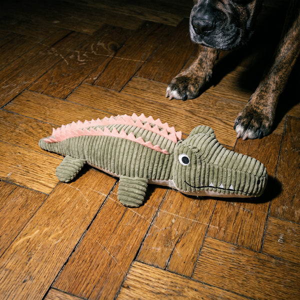 doudou-crocodile-chien