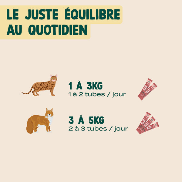 mini-tubes-cremeux-thon-saumon