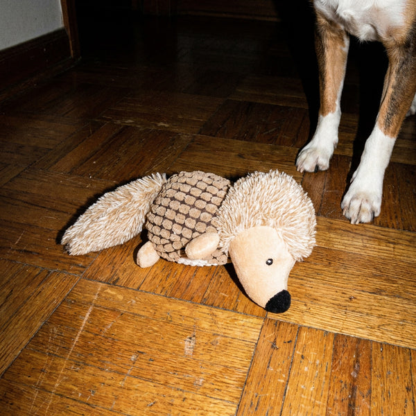doudou-herisson-chien