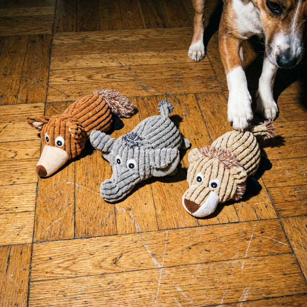 doudou-chien