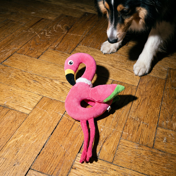 doudou-flamant-rose-chien
