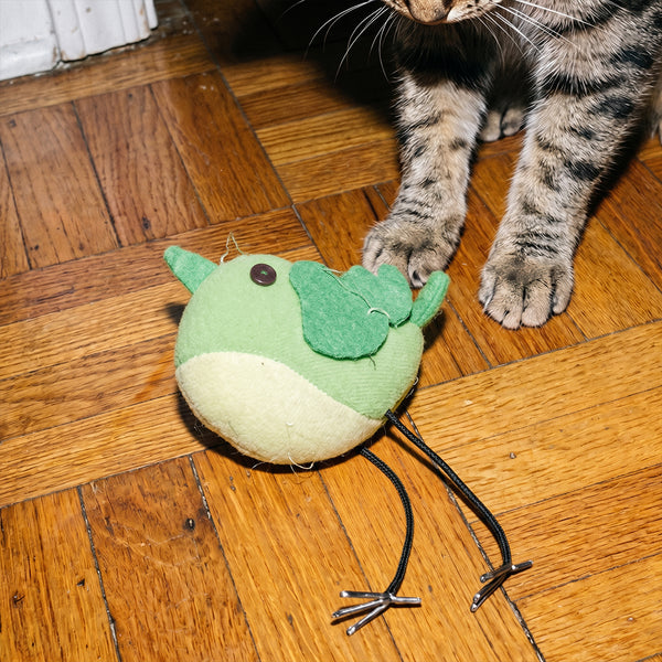 jouet-oiseau-herbe-a-chat-1