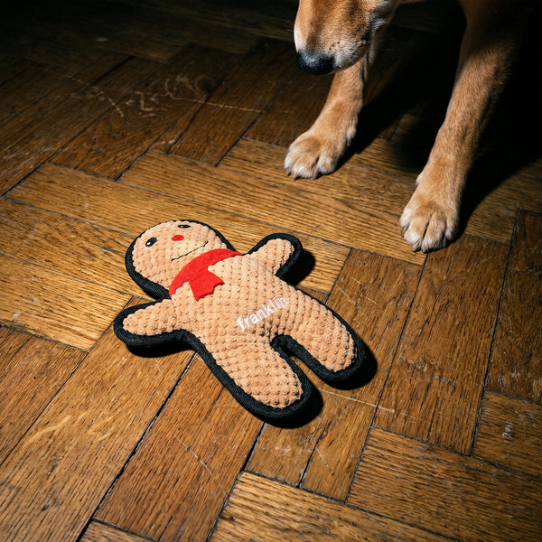 doudou-pain-d-39-epices-chien