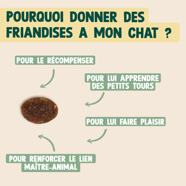 super-snack-saumon-collagene