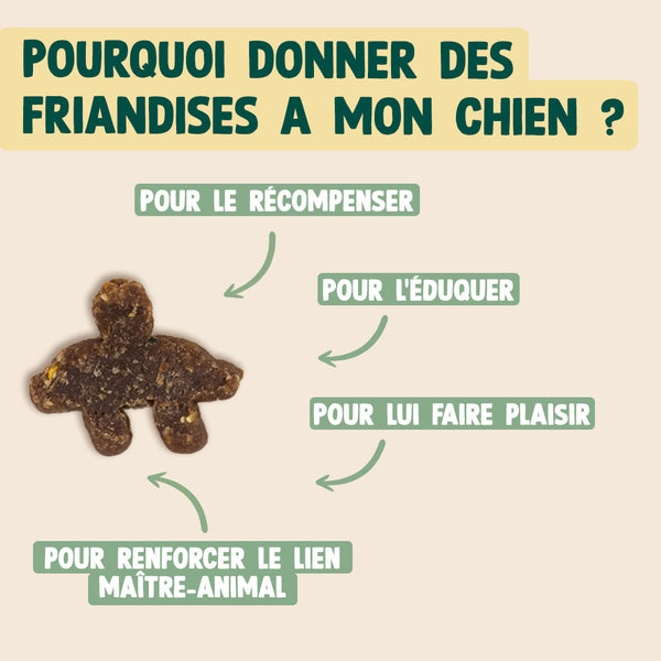 super-snack-hareng-potiron