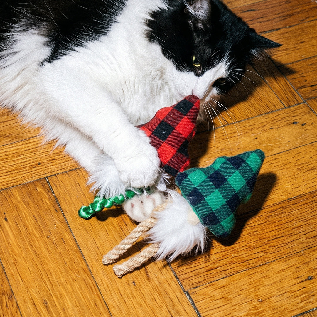 JOUET SAPIN HERBE À CHAT