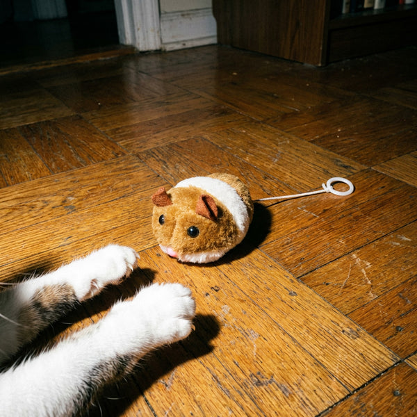 jouet-souris-chat