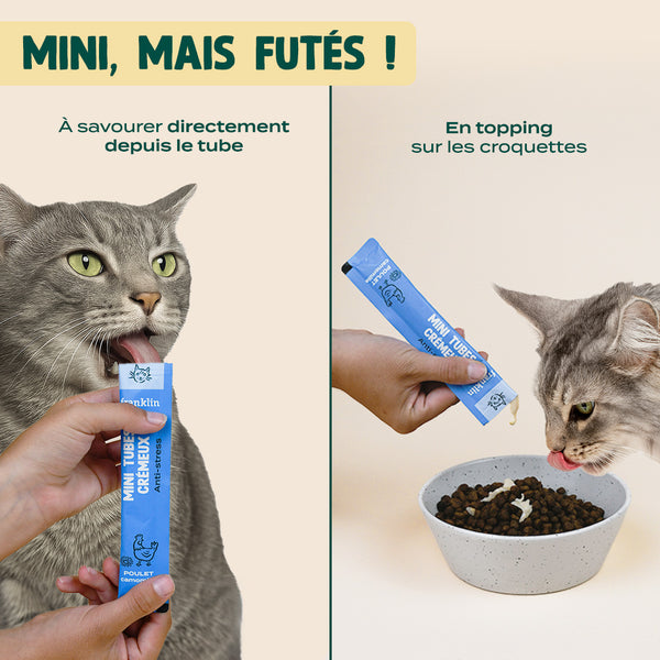 lot-chat-mini-tubes-cremeux