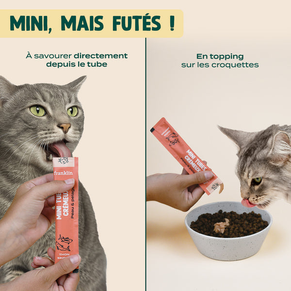mini-tubes-cremeux-thon-saumon
