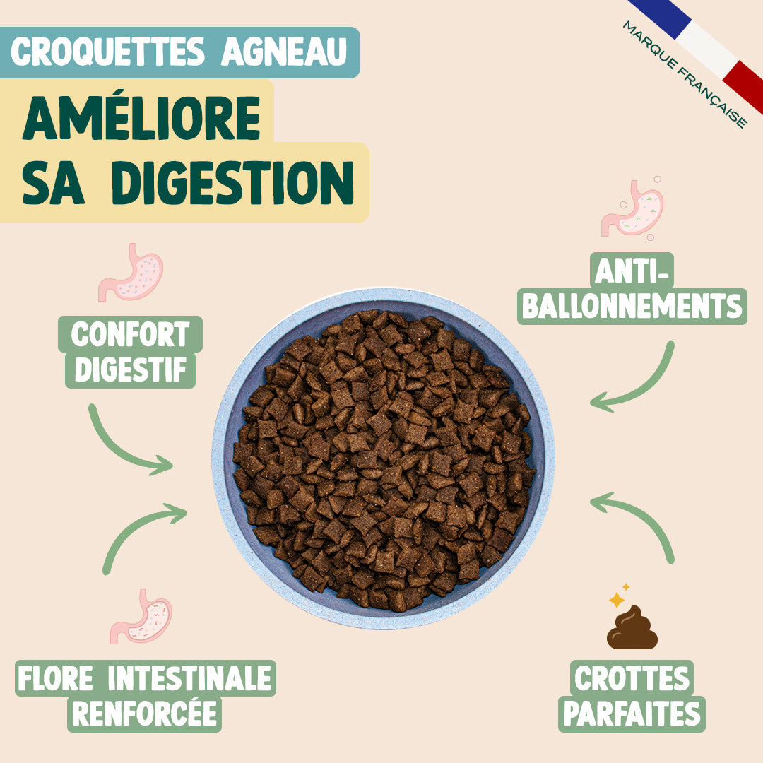 PACK ANTI-BOULES DE POILS POUR CHAT