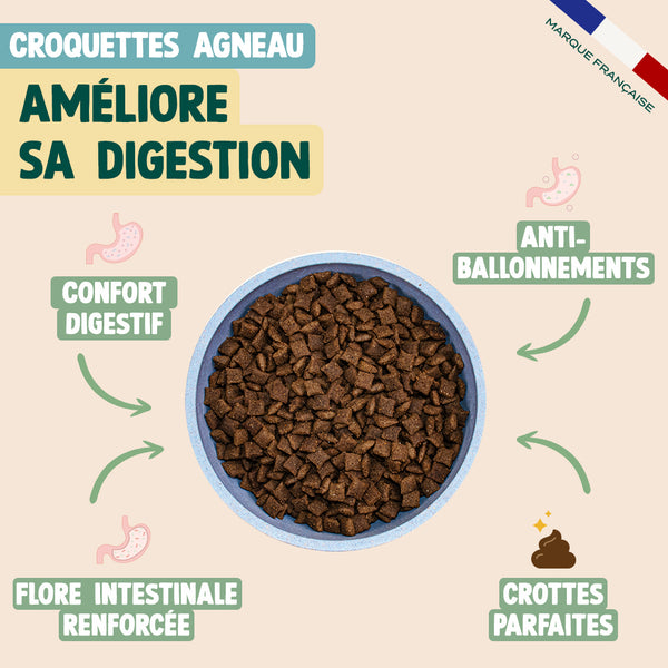 pack-anti-boules-de-poils-pour-chat