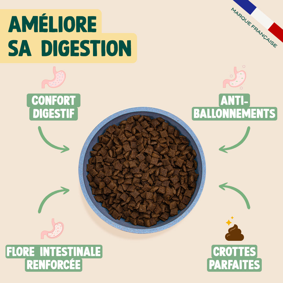 PACK ANTI-BOULES DE POILS POUR CHAT