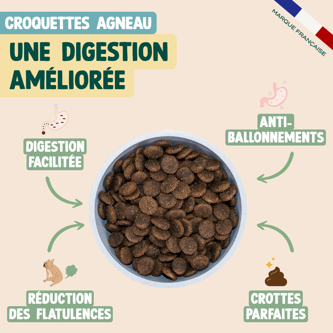 PACK DIGESTION POUR CHIEN