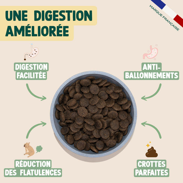 agneau-patate-douce-menthe