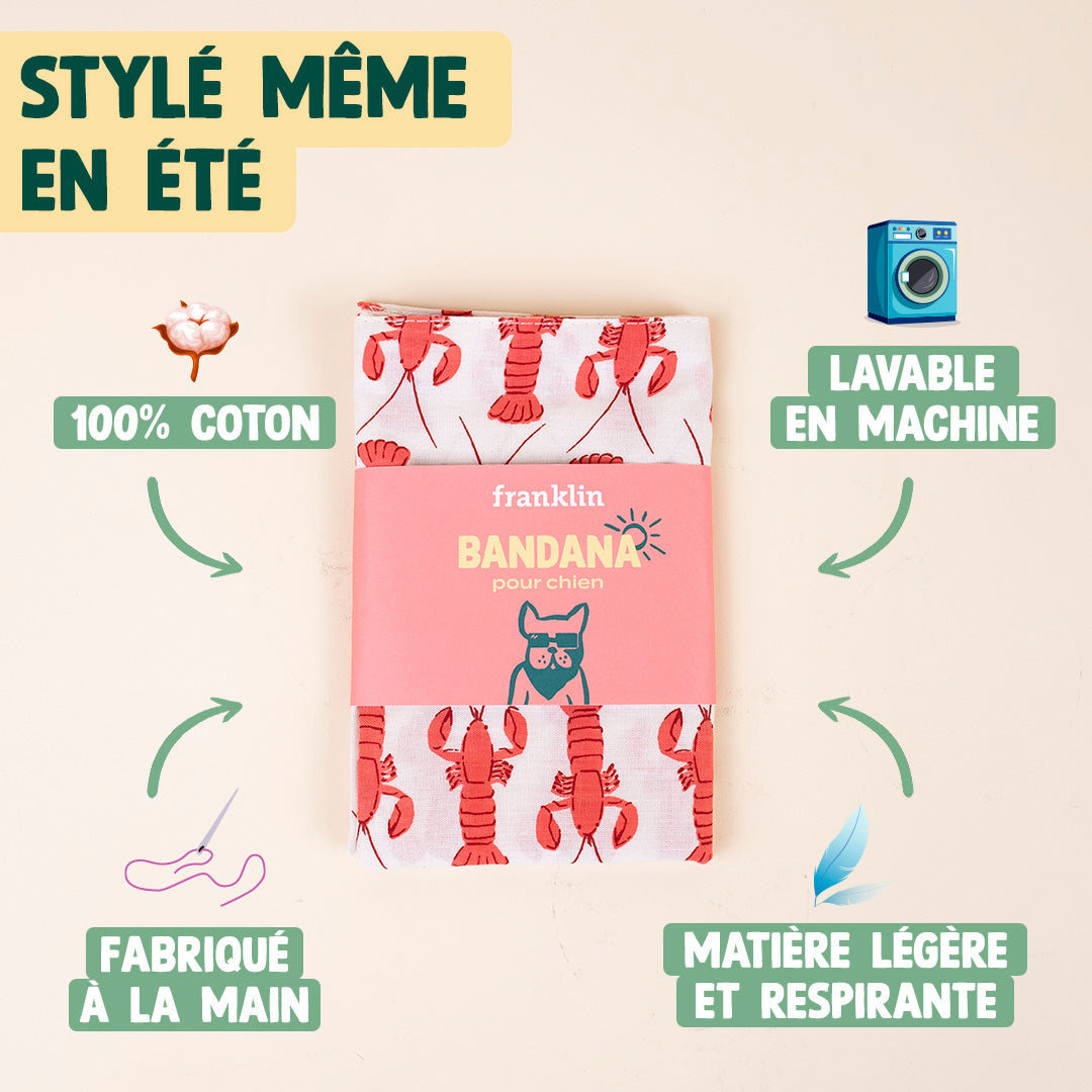 BANDANA ESTIVAL CHIEN