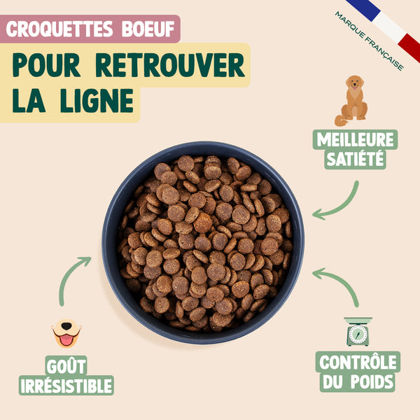 pack-pour-chien-en-surpoids