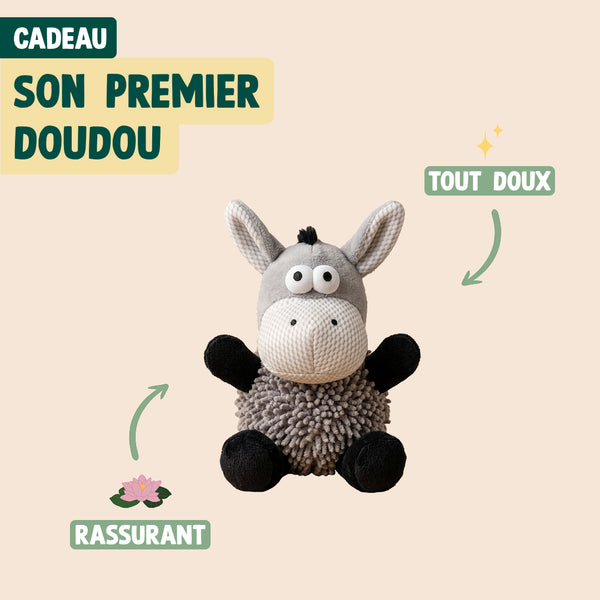 pack-decouverte-chiot