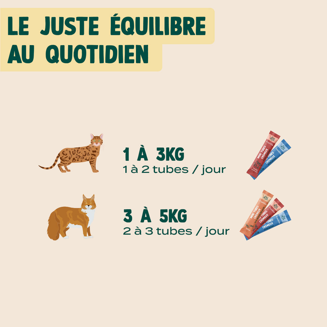 MULTIPACK MINI TUBES CRÉMEUX