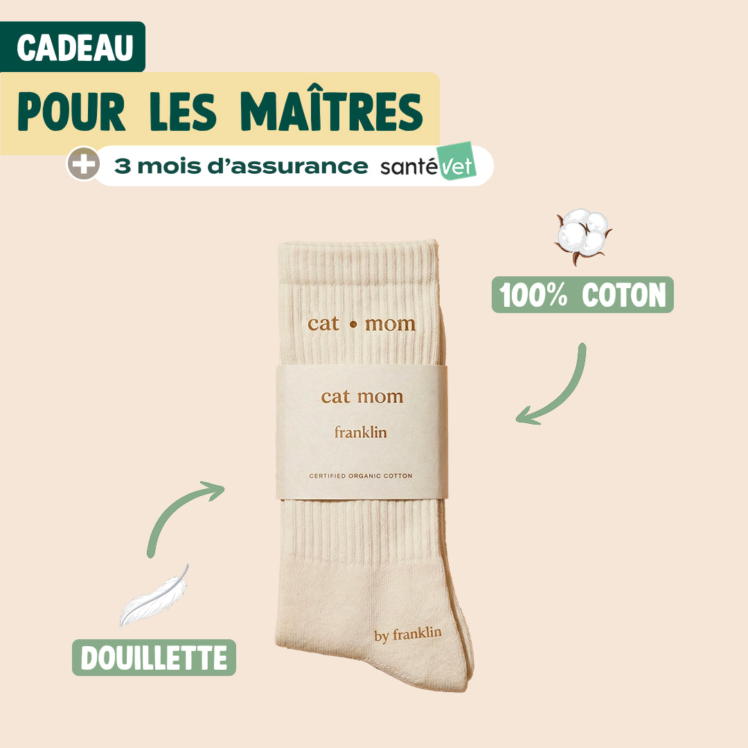 PACK DÉCOUVERTE CHAT