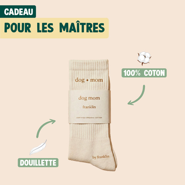 pack-decouverte-chien