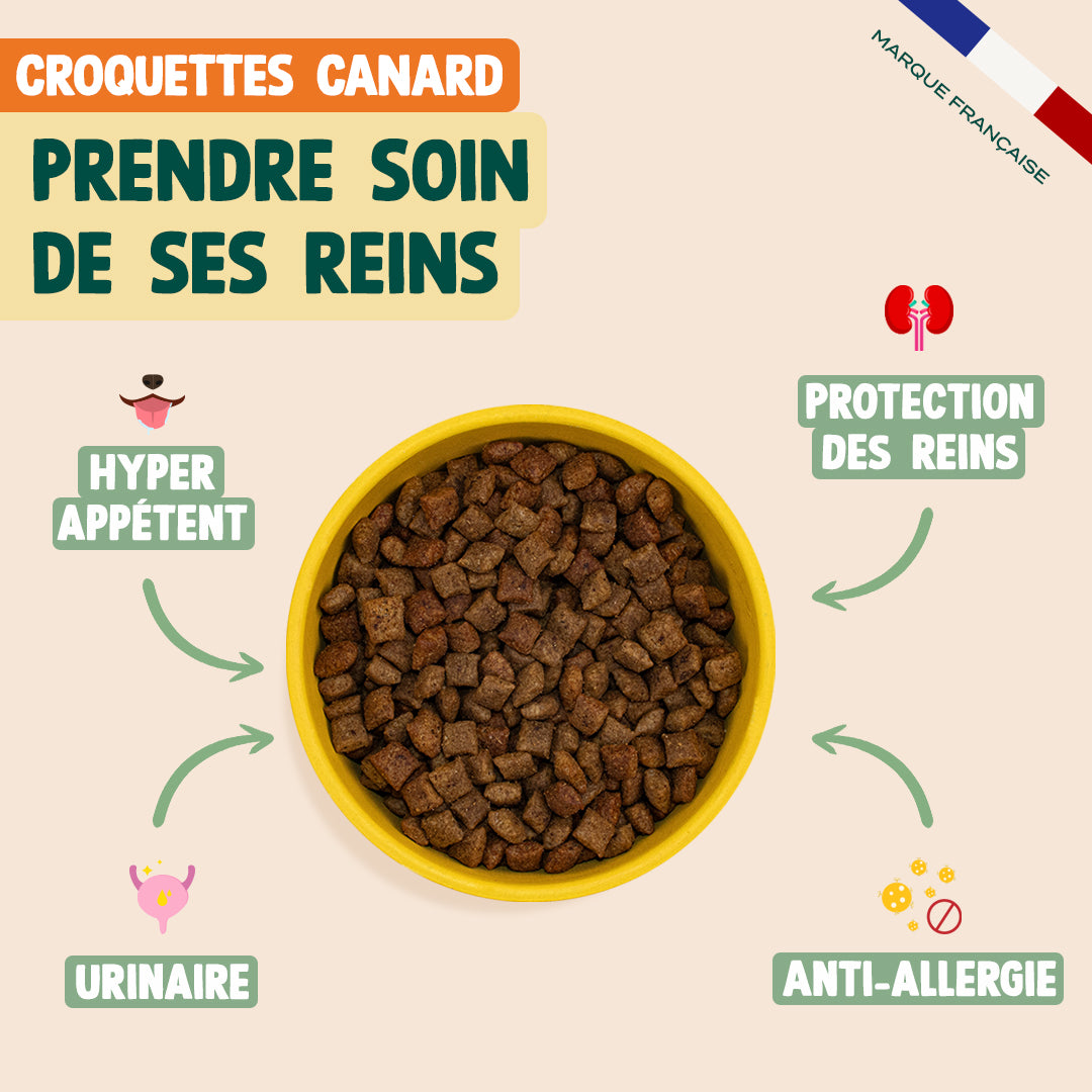 PACK TROUBLES URINAIRES POUR CHAT