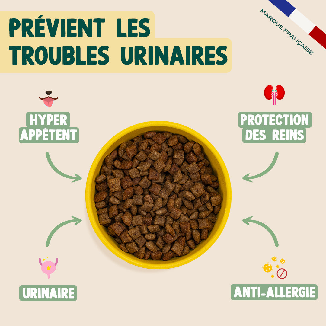 PACK TROUBLES URINAIRES POUR CHAT