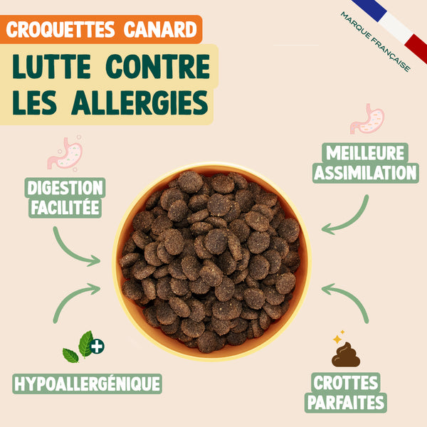 pack-decouverte-saint-valentin-chien