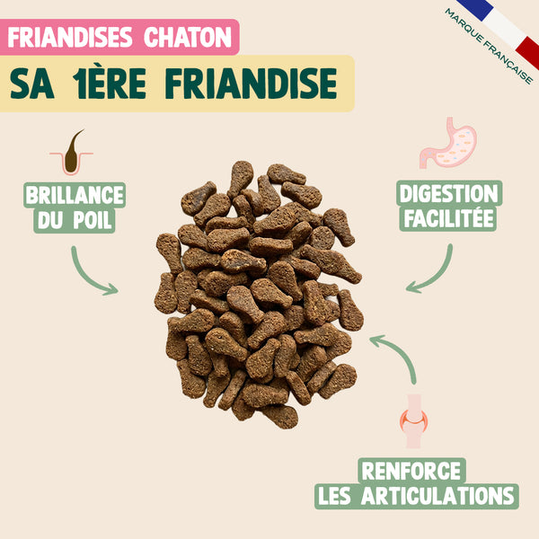 pack-decouverte-chaton