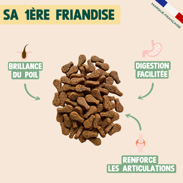 mini-bouchees-poulet-herbe-a-chat