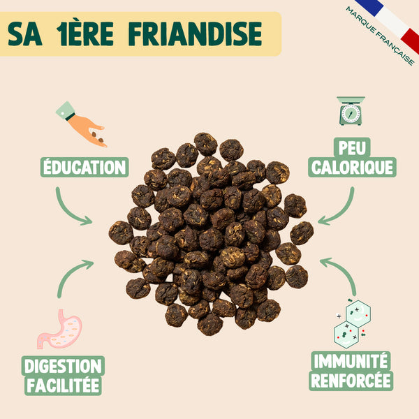 mini-viande-sechee-boeuf-romarin