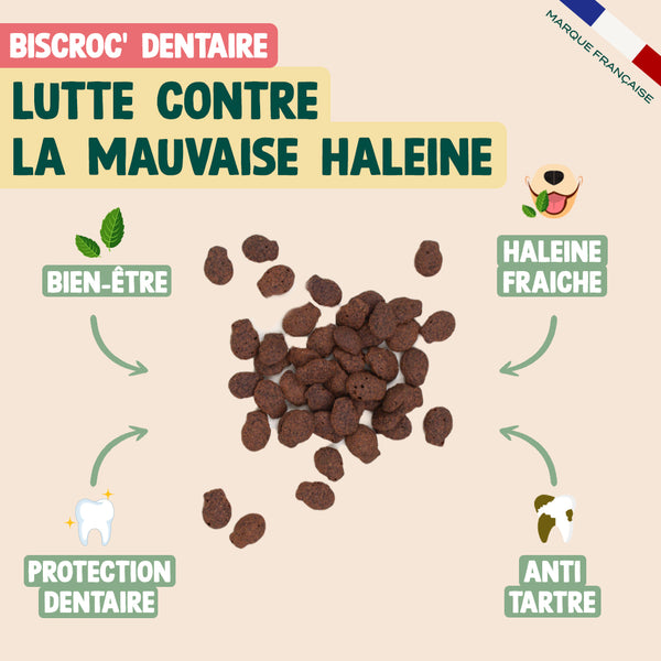 pack-decouverte-biscroc