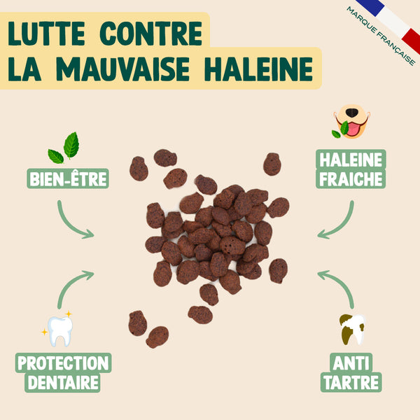 pack-pour-chat-sterilise