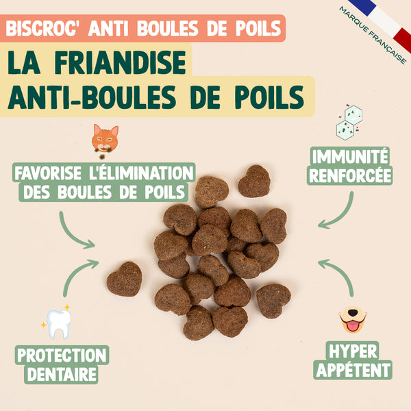 pack-anti-boules-de-poils-pour-chat