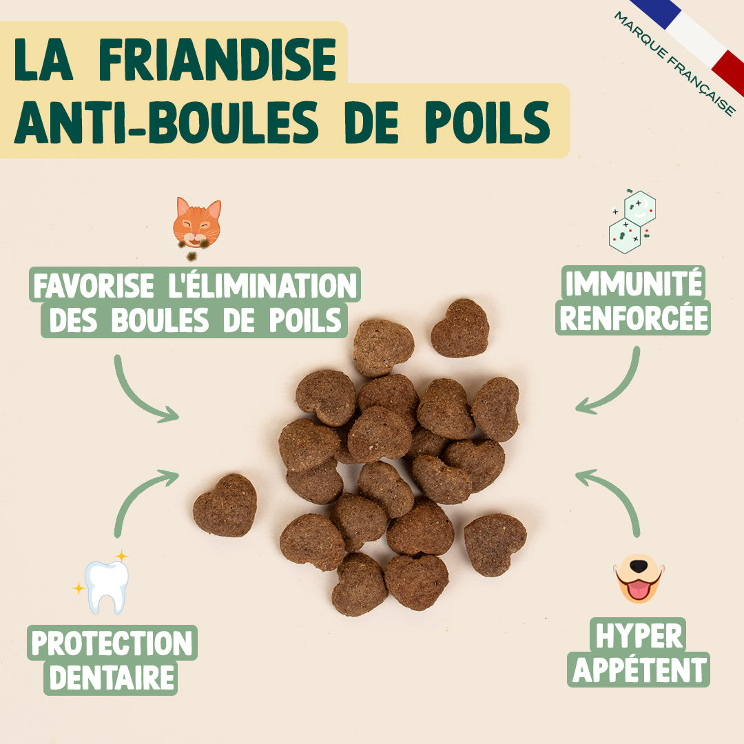 PACK ANTI-BOULES DE POILS POUR CHAT