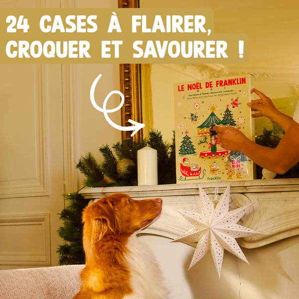 Calendrier De L'Avent Teckel Calendrier De L'Avent 2025 Pendentifs Teckel - 24 Jours, Ornements Acryliques 2D, Décoration Noël Pour Fenêtre, Arbre Déco Sapin Fenêtre Calendrier De L'Avent Teckel Calendrier De L'Avent 2025 Pendentifs Teckel - 24 Jours, Ornements Acryliques 2D, Décoration Noël Pour Fenêtre, Arbre Déco Sapin Fenêtre