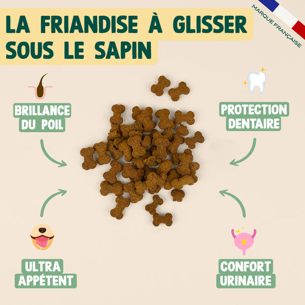 noel-gourmand-canard-cranberry