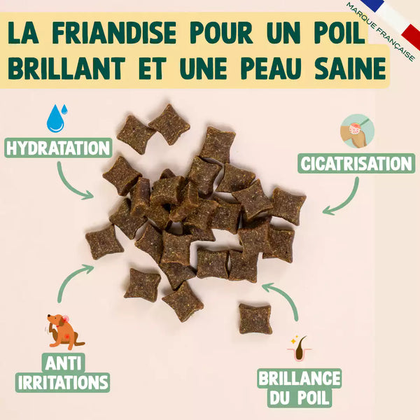 friandises-peau-amp-pelage