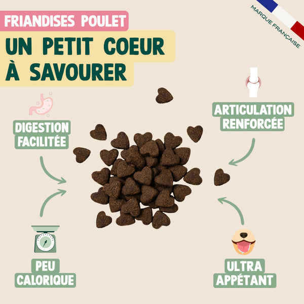 pack-decouverte-saint-valentin-chien