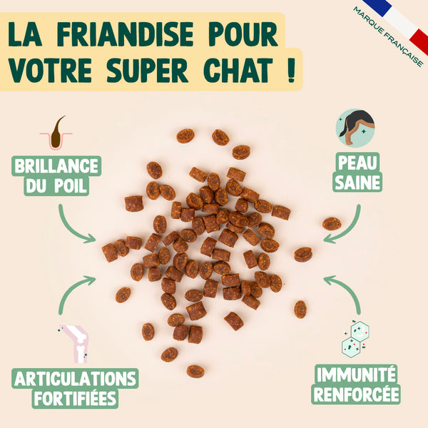 super-snack-saumon-collagene