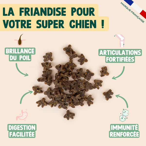 super-snack-hareng-potiron