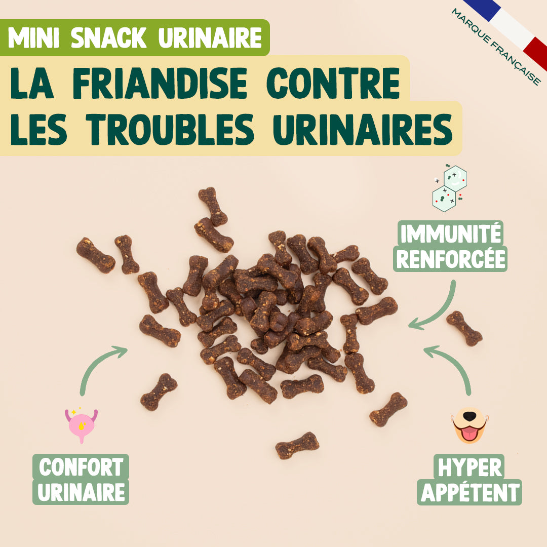 PACK TROUBLES URINAIRES POUR CHAT